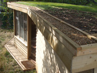 Living Roof Shed